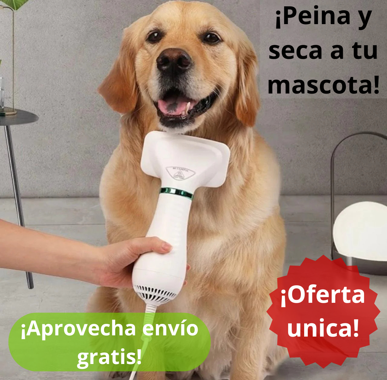 SECADOR DE MASCOTA
