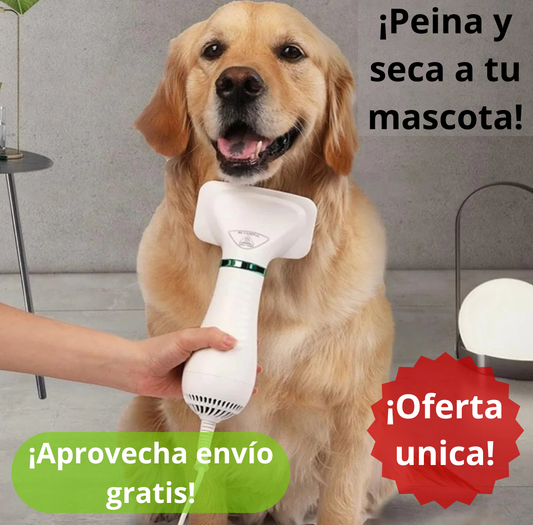 SECADOR DE MASCOTA